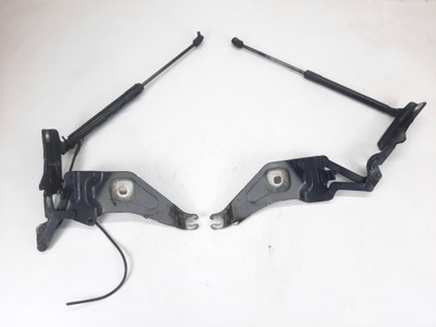 BMW E70 X5 HINGES HOOD RIGHT LEFT SET  