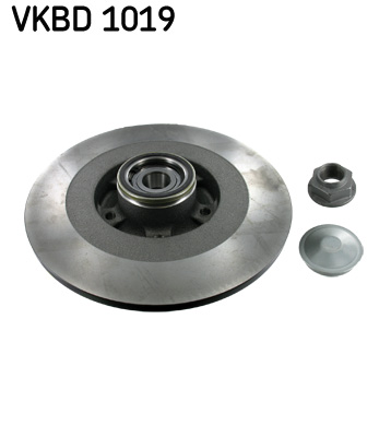 SKF VKBD 1019 ДИСК ГАЛЬМІВНИЙ