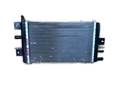 Dacia spring 21- радиатор wody электрик фото №1