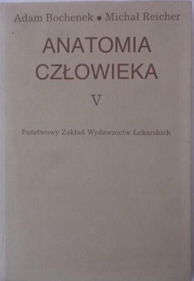 Anatomia człowieka V