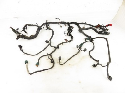 Жгут двигателя nissan quest iii 3.5 фото №1