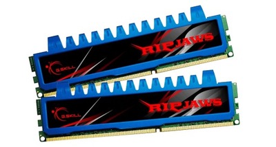 G.SKILL Ripjaws 4GB (2X2) DDR3 1600MHz CL7 F3-12800CL7D-4GBRM
