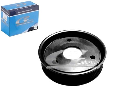 Шків насоса 100x29-6pk 3rg фото №1