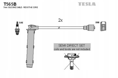 TESLA BLATNÁ T565B JUEGO TUBOS DE ENCENDIDO  