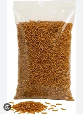 Suszone Robaki Mączne 1kg