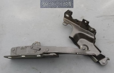 CHARNELA DE CAPO IZQUIERDO PEUGEOT 508 II 9813071480  