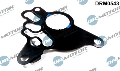 DR. MOTOR GASKET PUMP SEAT LEON 2,0 03-  