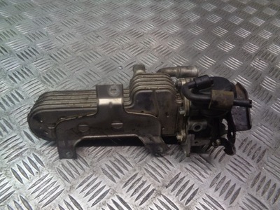 Радіатор вихлопних газів seat altea 1.9 tdi 030131513ad фото №1