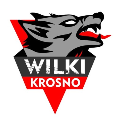 2006-2008 Wilki Krosno programy wyjazdowe