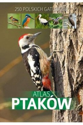 ATLAS PTAKÓW - 250 polskich gatunków