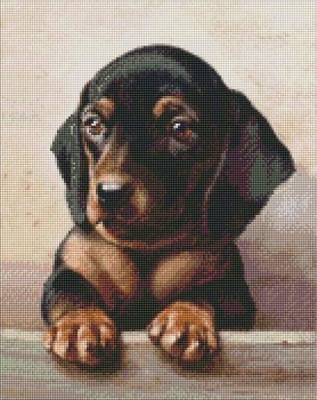 DIAMENTOWA MOZAIKA - DEDYKOWANY WYGLĄD 40X50CM