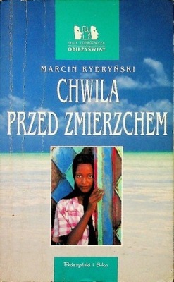 Chwila przed zmierzchem