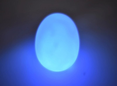 Zmieniające kolor jajko EMPIS