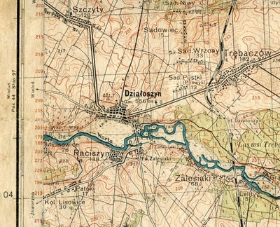 DZIAŁOSZYN / BRZEŹNICA :: mapa wojskowa WIG : 1934 rok