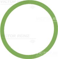 REINZ SANDARIKLIS KOLEKTORIAUS SSAC. VW GOLF VII 12-/VW POLO V 09-/VW VI 17- 