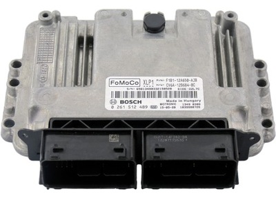 ECU FORD F1B112A650AJB CV6A12B684BC 0261S12489