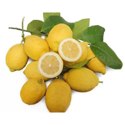 CYTRYNY świeże Feminello EKOLOGICZNE z Sycylii Własny Import od Rolnika 1KG