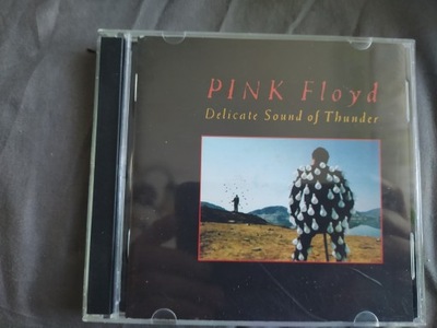 CD Delicate Sound of Thunder Pink Floyd