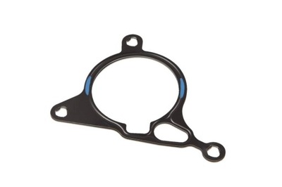 GASKET PUMP VACUUM VW GOLF VI/VII 2,0 GTI/TSI - milautoparts-fr.ukrlive.com