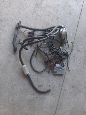 Електропроводка газова lpg na 4 cyl фото №1