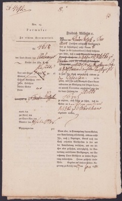 Dokument Friedrich Wilhelm - Kalisz 27.01.1801 r