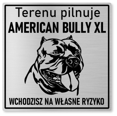 Uwaga pies - American Bully XL