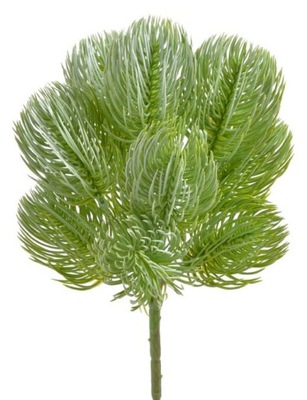 Sosna himalajska sztuczna roślina GAŁĄZKI 28 cm