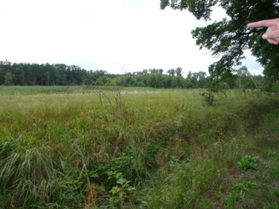 Działka, Dychów, Bobrowice, Krośnieński, 54800 m²