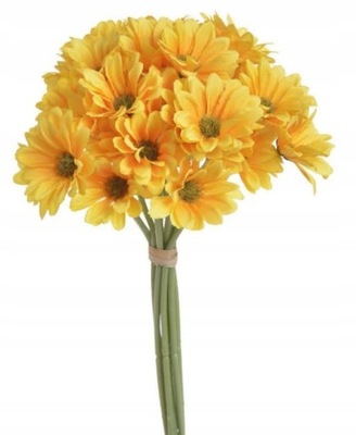 RUMIANEK bukiet ZŁOCIENI kwiat wiosna RÓŻOWY 30 cm