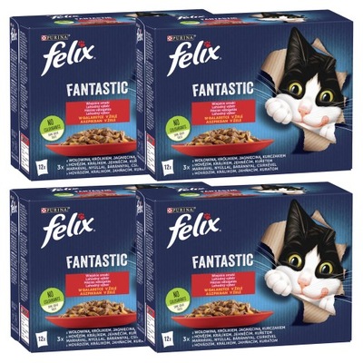 PURINA Felix Fantastic karma mokra dla kota mięsny mix smaków 48x85g