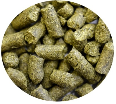 Chmiel ZULA 100g PL goryczkowy