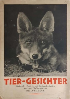 Lutz Heck Tier-Gesichter ok 1930