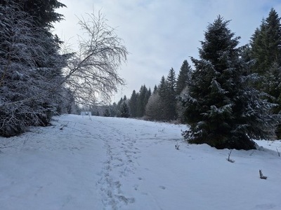 Działka, Sucha Beskidzka, 3900 m²