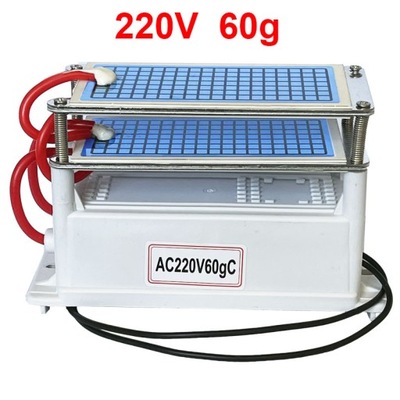 220V 110V 60 g/h Generator ozonu przenośny oczysz