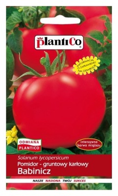Pomidor gruntowy karłowy BABINICZ 1g PlantiCo