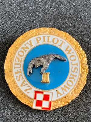 ZASŁUŻONY PILOT WOJSKOWY II