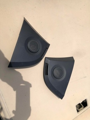 Espace iv захист динаміка 8200122308/8200122310 фото №1