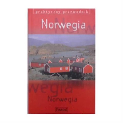 Praktyczny Przewodnik Norwegia - Praca Zespołowa