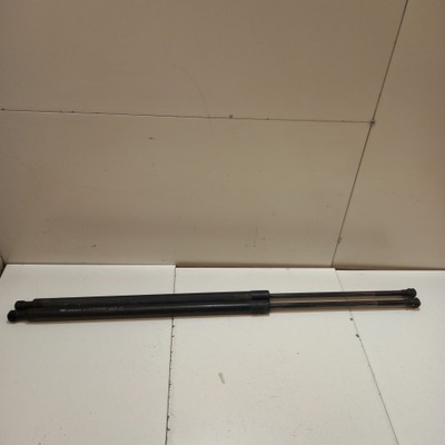 Амортизаторы крышки задняя renault grand scenic 3 904517337r фото №1