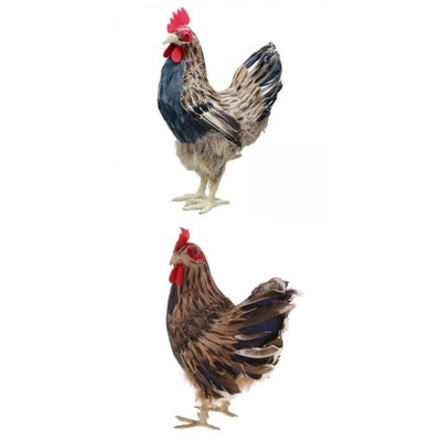 2 sztuki imitacja zwierzęcia kurczak z piórkiem