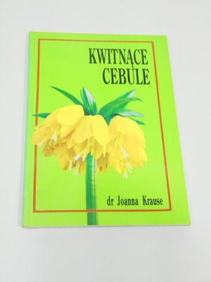 Kwitnące cebule Krause