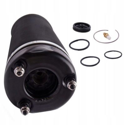 Подушка пневмоподушка амортизатор подвеска перед mercedes w251 a2513203013 фото №1