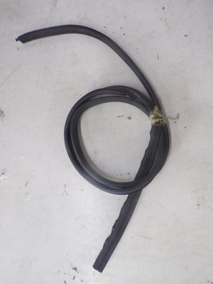 Прокладка двері лівий/правий задня scenic ii фото №1