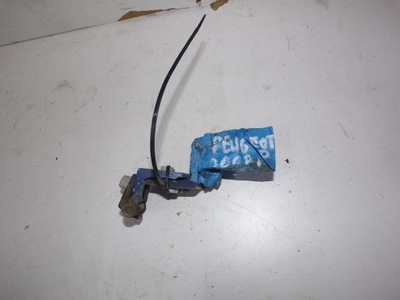 Петли дверь правый перед peugeot 206 фото №1