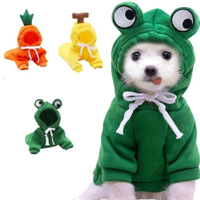 Urocze ubranko dla psa kota zielona żabka z kapturem M
