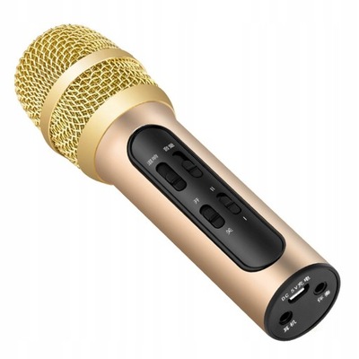 1 Zestaw mikrofonu śpiewu Handheld USB Charging