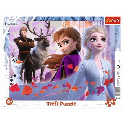 PUZZLE RAMKOWE 25 KRAINA LODU FROZEN