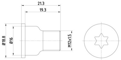 БОЛТ ДИСК ТОРМОЗНОЙ TPM0005
