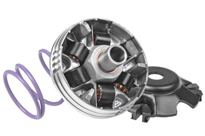 Wariator Malossi Multivar 2000, Aprilia Scarabeo 100 4T