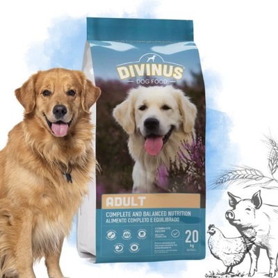 DIVINUS ADULT Karma sucha dla psa owczarek labrador golden witaminy 20kg